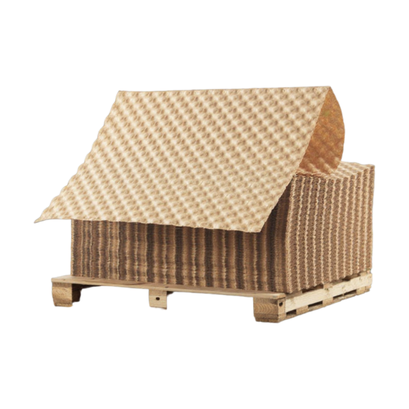 Biodegradable packaging